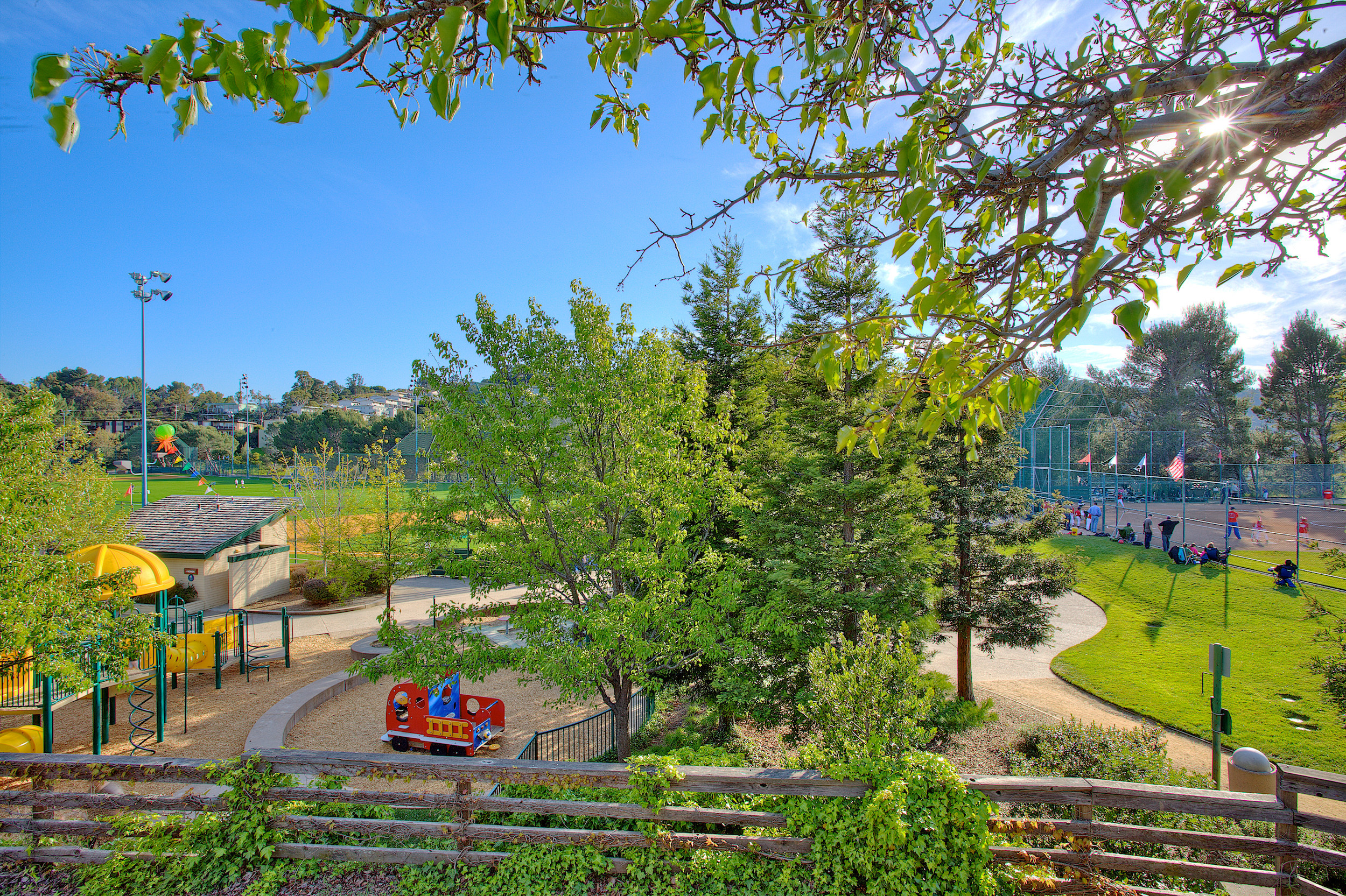 Playground, grass and trees of San Carlos Park